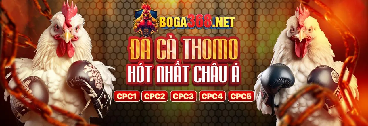 Ứng dụng Oppabet trên điện thoại di động